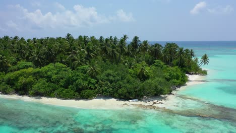 Palmenwald-Und-üppige-Vegetation-über-Einer-Niedrigen-Tropischen-Insel,-Umgeben-Von-Einer-Sauberen,-Ruhigen-Lagune-Mit-Wunderschönen-Mustern-Aus-Korallen-Und-Granitfelsen-In-Jamaika