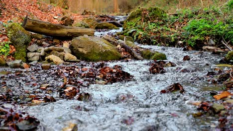 Small-stream-in-forest-on-a-cloudy-morning-in-slow-motion