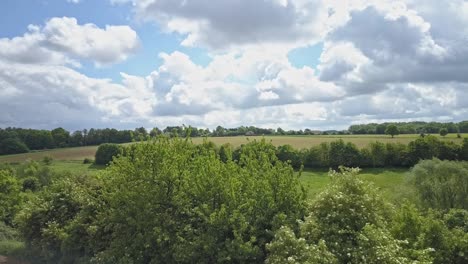 Horizontal-travelling-of-fields-and-trees-from-a-drone-perspective