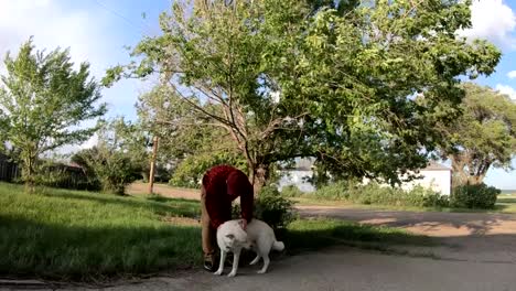 SLOW-MOTION---White-husky-dog-and-his-owner-standing-in-a-front-yard-of-a-house-infront-of-a-huge-tree-in-the-country