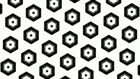 Catchy-hexagon-black---white-shapes-animation
