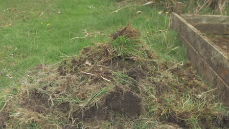 Throwing-grass-onto-mound-of-topsoil-gardening