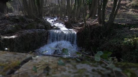 Malerischer-Wasserfall-In-Einem-Natürlichen-Bach-Durch-Den-Wald-Mit-Efeu-Im-Vordergrund