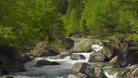 Waldfluss,-Rauschender-Alpenbach-In-Den-Pyrenäen,-Spanien