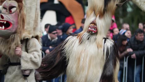 Hairy-costume-with-a-long-head-with-horns-of-a-bulgarian-kuker