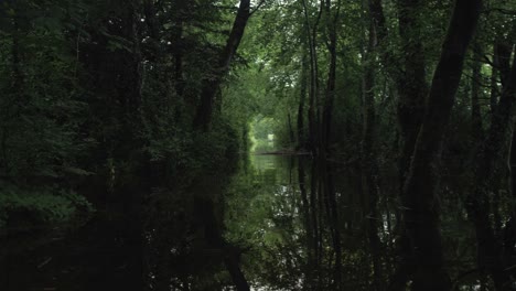 Gliding-through-river-canal-within-wilderness