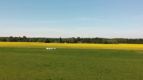 A-side-aerial-shot-near-the-ground-over-a-green-and-yellow-field-with-forage-wrappped-in-white-plastic