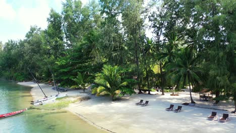 sunbeds-on-the-empty-sandy-beach-in-the-shadow-of-the-tall-evergreen-exotic-trees