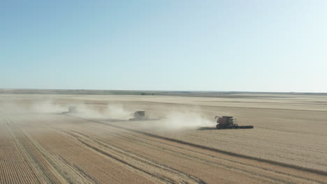 Aerial-fly-over-a-dusty-harvesting-scene-with-three-red-Combines-threshing-wheat-in-a-tight-group