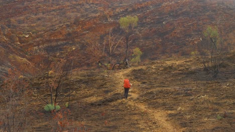 Hiker-follows-trail-through-rocky,-fire-damaged-area,-Central-Australia