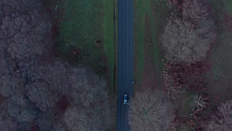 Aerial-top-down-drone-shot-of-traffic-on-main-road-in-richmond-park-London