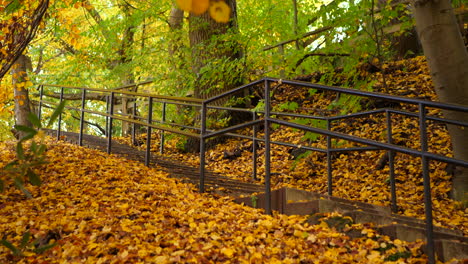 Herbstblätter-Auf-Der-Parktreppe