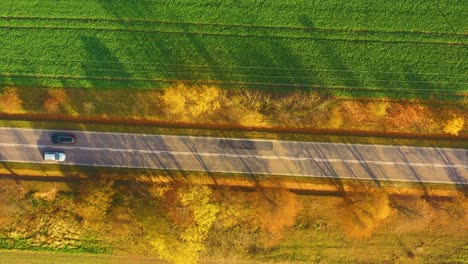 Aerial-view-of-road-in-beautiful-autumn-forest-at-sunset