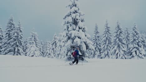 Happy-ski-tourer-girl-walking-on-the-skis-in-beautiful-winter-landscape,-slow-motion,-wide-shot