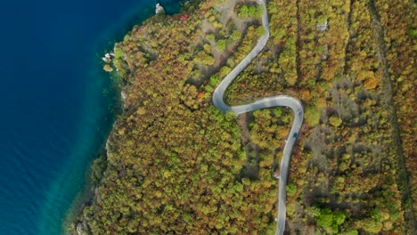 car-drive-on-curvy-road-in-colorful-autumn-next-to-lake,-top-down-aerial