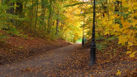 Weg-Zum-Herbstwaldpark
