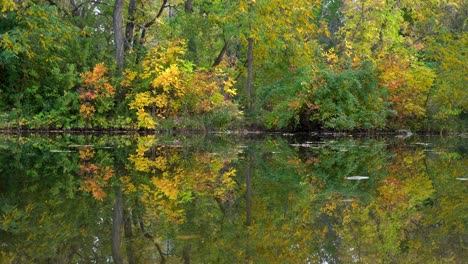 Reflexion-Der-Herbstfarben-über-Der-Wasseroberfläche