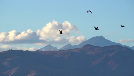 Flock-of-Geese-flying-against-a-background-of-mountains