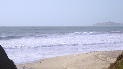 Cliffs,-beach,-birds,-waves-and-the-ocean