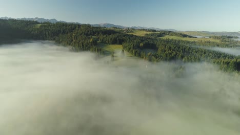Asombroso-Paisaje-Con-Niebla-Que-Cubre-Bosques