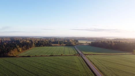 Drone-flying-over-a-small-country-road-with-green-farming-fields-on-the-sides