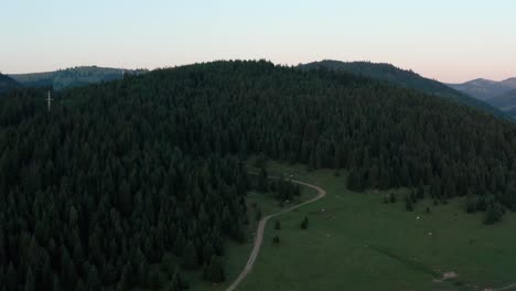 Luftanflug-über-Grasende-Kühe-In-Den-Bergen-Bei-Sonnenuntergang