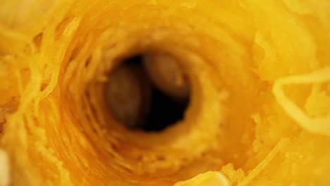 Starting-inside-the-core-of-a-cored-out-gourd,-moving-through-core-with-great-macro-view-of-interior,-emerging-to-show-two-other-gourds,-one-turned-onto-the-stem