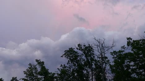 Beautiful-pink-and-purple-sky-scape-view-peering-over-the-tree-tops-of-the-forest