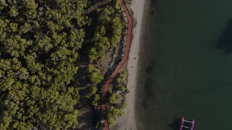 Aerial-drone-video-following-a-timber-boardwalk-winding-through-a-coastal-conservation-wetland