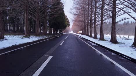 Traveling-down-lonely-wintry-road-at-Metasequoia-Namiki,-Japan