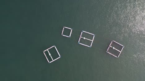 Overhead-drone-shot-of-Dolphin-Pens-at-the-location-of-the-infamous-dolphin-hunt,-Taiji,-Wakayama-Prefecture,-Japan