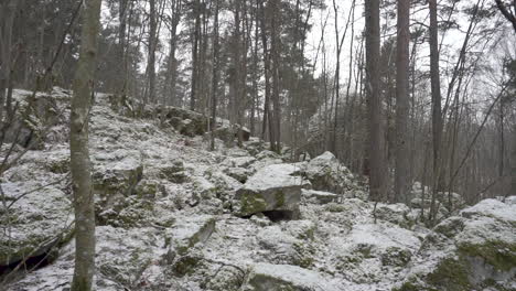 Static-shot-in-a-forest-when-its-snowing-on-a-hill