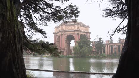 The-Palace-of-Fine-Arts-between-trees