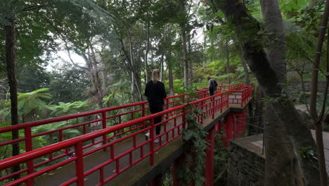 Pretty-woman-walking-on-red-bridge-in-botanical-rainforest-garden-with-green-plants-and-trees