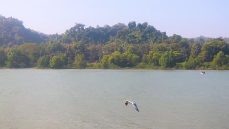 Wilder-Flussufer-In-Einem-Fluss-In-Indien-Mit-Angeln-Und-Segeln