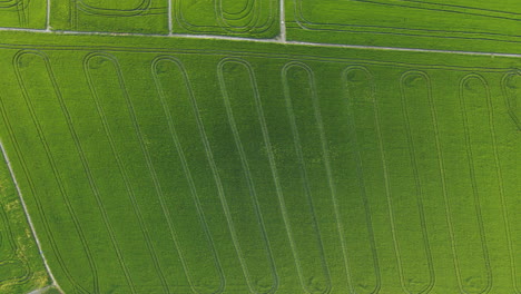 Luftaufnahme-Von-Reisfeldern-In-Der-Albufera-Von-Valencia,-Spanien
