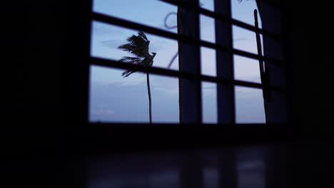 Palme,-Die-Im-Wind-Vor-Einem-Fenster-Weht-Und-Als-Silhouette-Durch-Sicherheitsgitter-Blickt