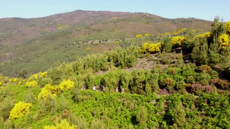 Vista-De-Seguimiento-De-Drones-De-Excursionistas-En-El-Parque-Natural-Fisgas-Portugal-Un-Hermoso-Día-Soleado