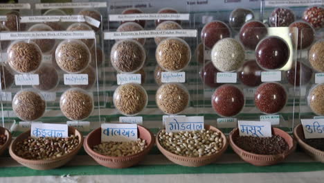 Regional-millets-seeds-exhibition,-India