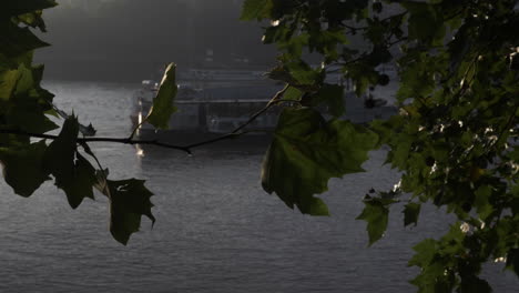 Abstract-shot-looking-through-an-opening-in-the-leaves-of-a-tree-onto-the-river-Thames,-in-the-distance-a-stationary-tourist-boat-anchored-in-the-water-on-a-fresh-breezy-morning,-London,-England