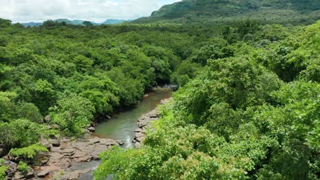 Observing-a-beautiful-jungle-stream-during-flight-over-a-thick-forest-of-India