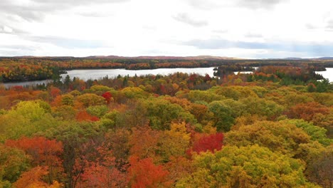 autumn-trees-low-flight-over-treetops-on-lake