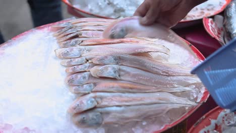 Closed-Up-Footage-of-Prepared-Sea-Fish-At-Local-Fish-Market