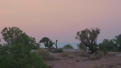 árboles-Y-Arbustos-Se-Dispersan-En-El-Desierto-De-Moab,-Utah-Durante-La-Fantástica-Puesta-De-Sol,-Dolly-Shot