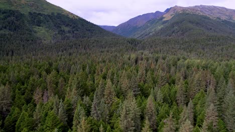 Alaska-Wilderness-aerial-with-conifer-trees-in-the-foreground