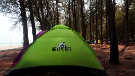 Green-Tent-on-the-beach-between-rows-of-Coniferous-trees-in-the-Forest-on-the-camping-zone