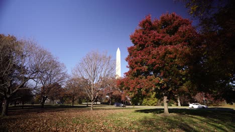 Washington-Obelisk-standing-behind-autumn-colored-trees,-dolly-forward-view