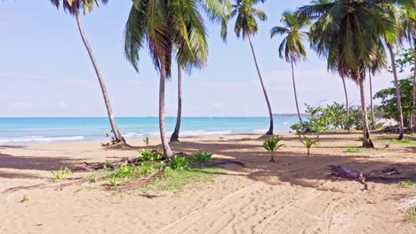 Palmeras-Tropicales,-Playa-De-Arena-Y-Pintoresco-Mar-Caribe-En-Playa-Coson,-Las-Terrenas,-República-Dominicana---Toma-Aérea-De-Drones