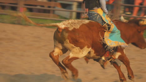 Raging-bull-suffering-at-Montana-Rodeo-injuring-rider-matador