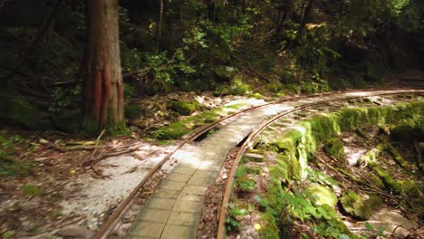 Point-of-View-Shot-Hiking-Through-Yakushima-along-old-rail-track,-Japan